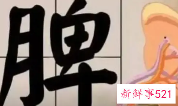 脾虚会越来越消瘦吗