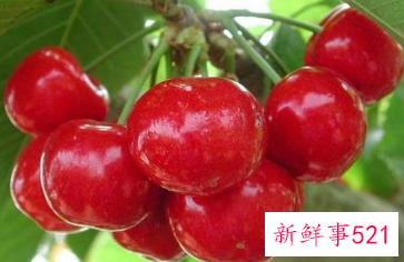 水果营养价值排行图