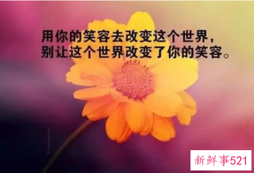 人生感悟经典语录