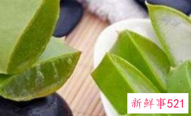 新鲜芦荟怎么处理敷脸