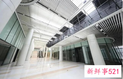 怎么申请冬奥村人才公租房