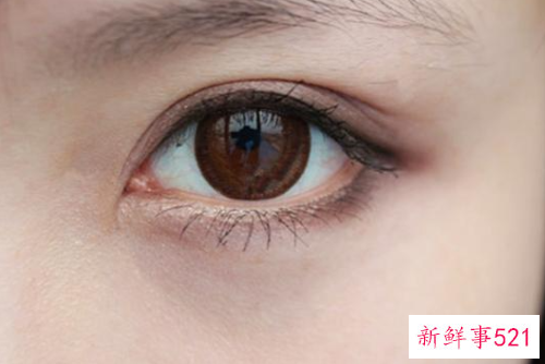 初学者淡妆眼影画法