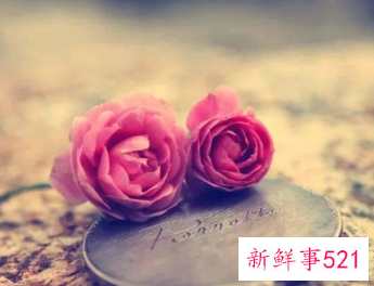 正能量的网名女生