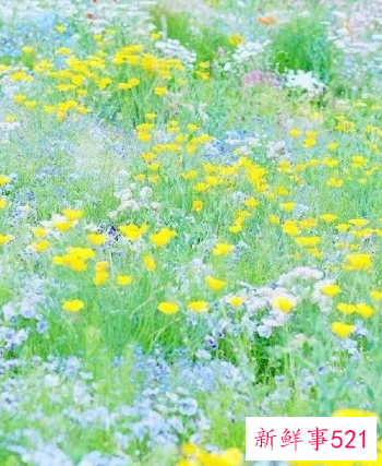 美容面部基础手法