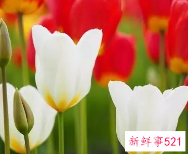 放卧室会致癌的物品有哪些