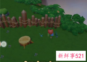 摩尔庄园手游白色浆果多久刷新一次