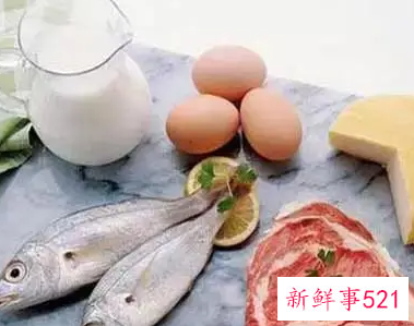 蛋白质食物的营养价值