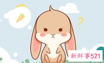 属兔事业上的贵人