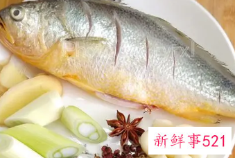 小孩吃什么鱼最有营养