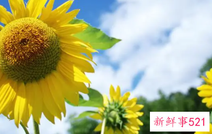 女生问你你觉的我怎么样回答