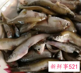 腊鱼怎么做才好吃