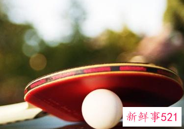 乒乓球拍怎么选