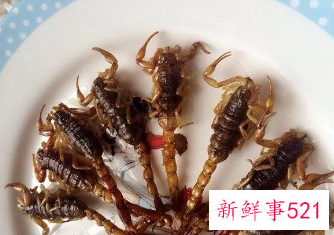 炸蝎子后面的毒针能不能吃