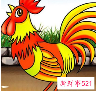 属鸡和属鸡幸福吗