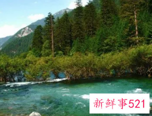 已婚女人梦见清澈流动的水