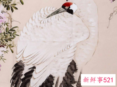 正对入门玄关5图片