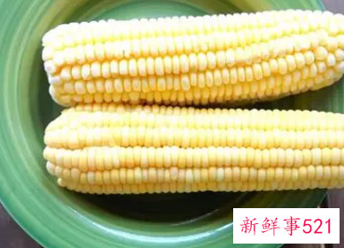 玉米没煮熟吃了会中毒吗