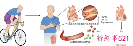 运动是怎样有益于我们身体健康的