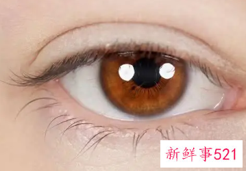 眼神与眼神的交流