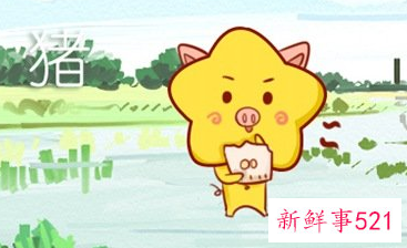 71年属猪适合做什么行业