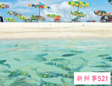 暑假带孩子去哪里玩