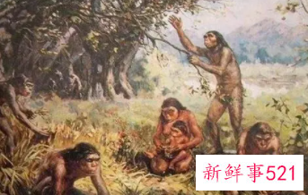 人类为什么发明婚姻