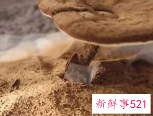 灵芝孢子粉的正确吃法和作用