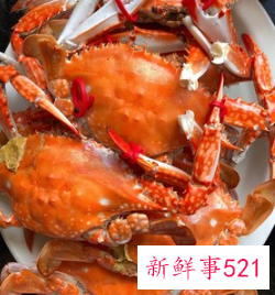 蒸螃蟹怎么吃法是正确的