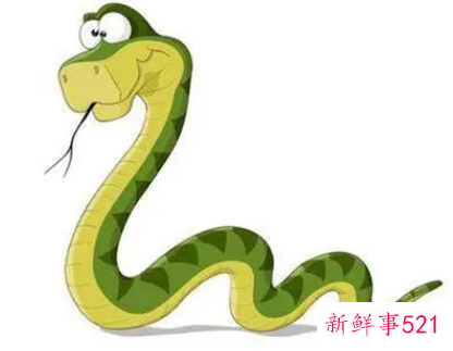 属马和属蛇婚姻相配吗