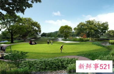 公园起名字技巧