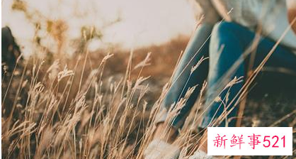 嫁给什么星座的男人最好