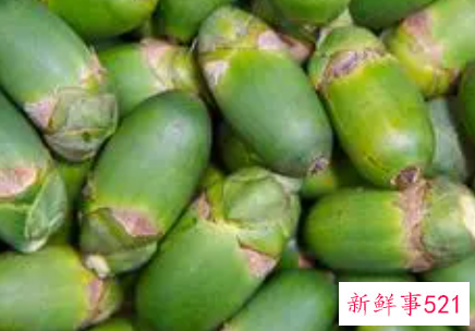 槟榔的简介是怎样的