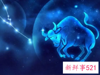 金牛座适合做律师吗