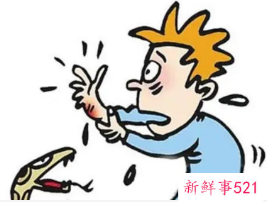 梦见被蛇咬伤有什么征兆