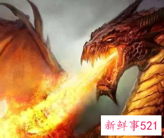 梦见龙特别真实