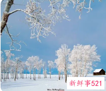 梦见很厚的雪预示什么