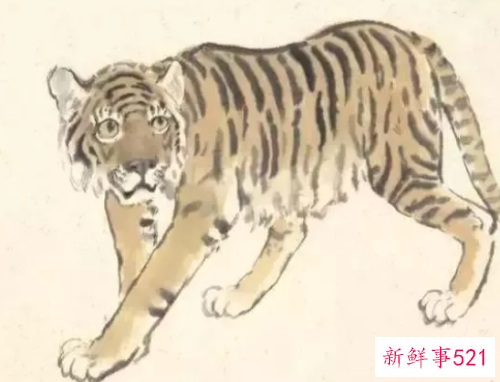 十二生肖什么命最好