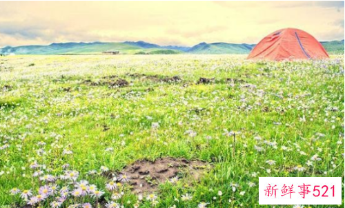 带萌娃轻松野营