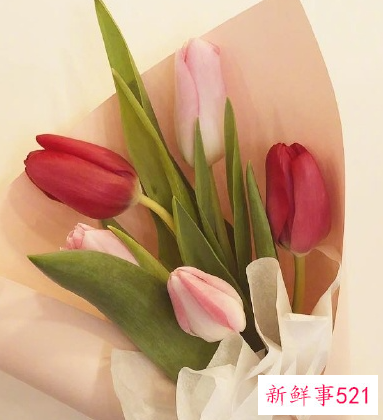 最动听的早安问候语