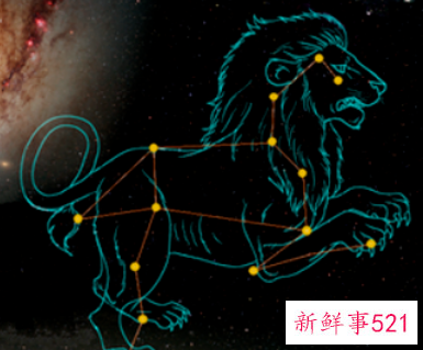 狮子座近期感情运势后半年