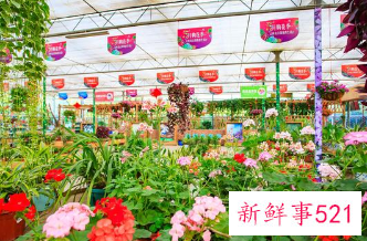 适合小店铺做的生意