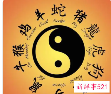 生肖相克如何化解