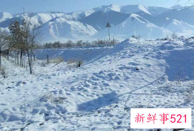 梦见很厚的雪预示什么