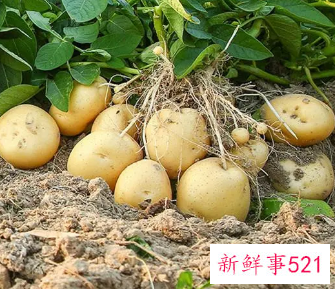 餐桌上6种美白蔬菜