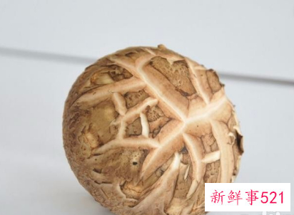 春季适合吃的蔬菜视频