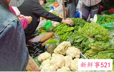 10月全国蔬菜价格为何涨那么高