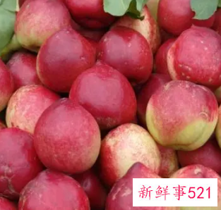 油桃是热性还是凉性水果