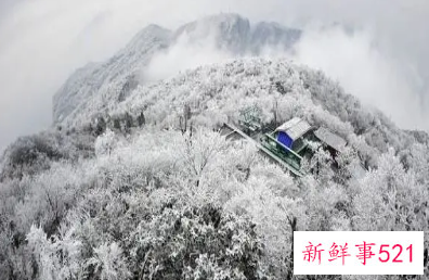 张家界雾凇什么时候有