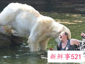 动物袭人警情处置