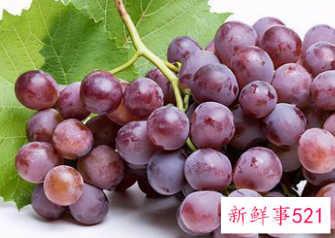 黑葡萄功效与作用及禁忌
